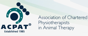 Vet Physiotherapy