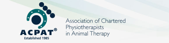 Veterinary Physiotherapy Suffolk